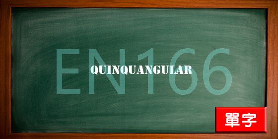 uploads/quinquangular.jpg